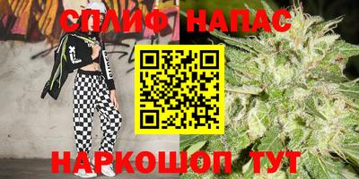 МДПВ Ефремов