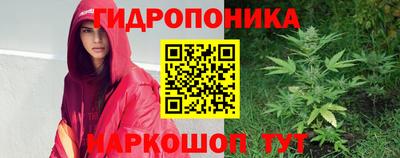 МДПВ Ефремов