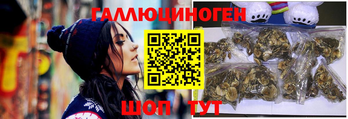 Надым  Псилоцибиновые грибы Cubensis  Вход с VPN 